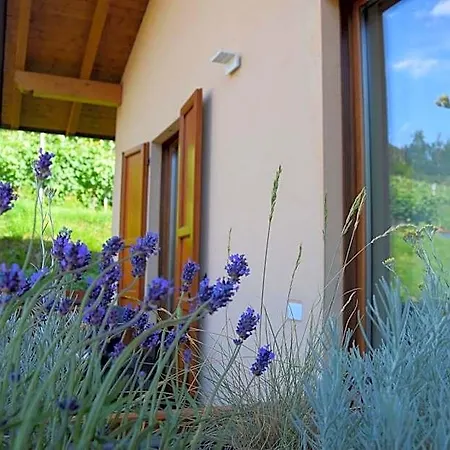 Bed and breakfast Al-colle 4*