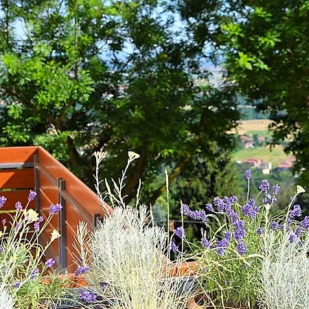Bed and breakfast Al-colle 4*